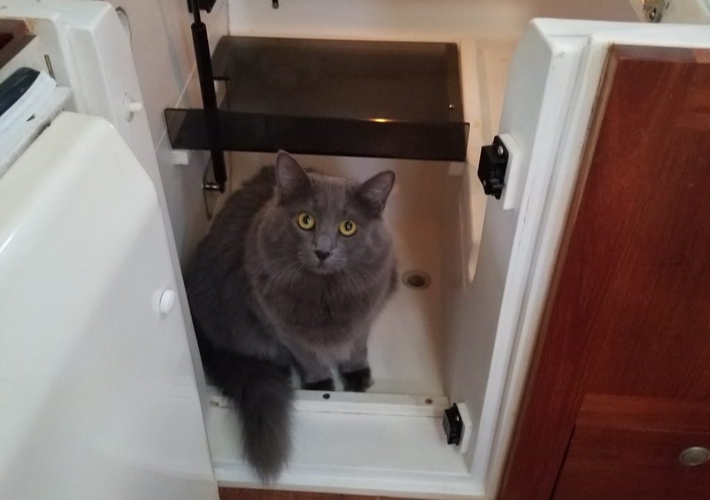 Ash in the refrigerator